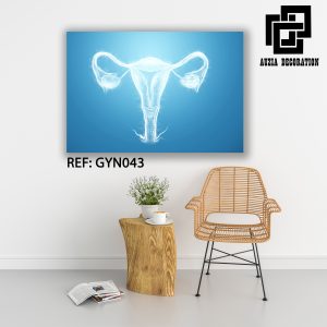 Gynécologie art - GYN043